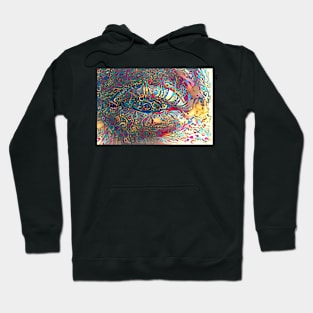 Squint Hoodie